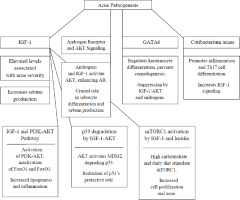 https://hpc.edu.pl/f/fulltexts/192501/HPC-20-314-g001_min.jpg