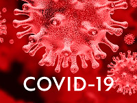 Figure from article: EFFECTS OF COVID-19 ON...